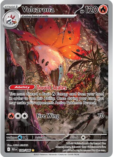Volcarona (100/086) [Scarlet & Violet: Black Bolt] | Local Legends