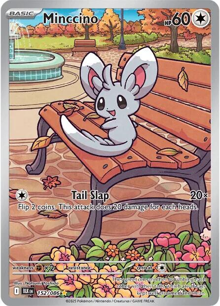 Minccino (152/086) [Scarlet & Violet: Black Bolt] | Local Legends