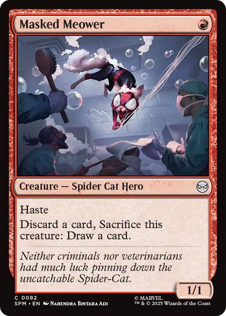 Masked Meower | Local Legends
