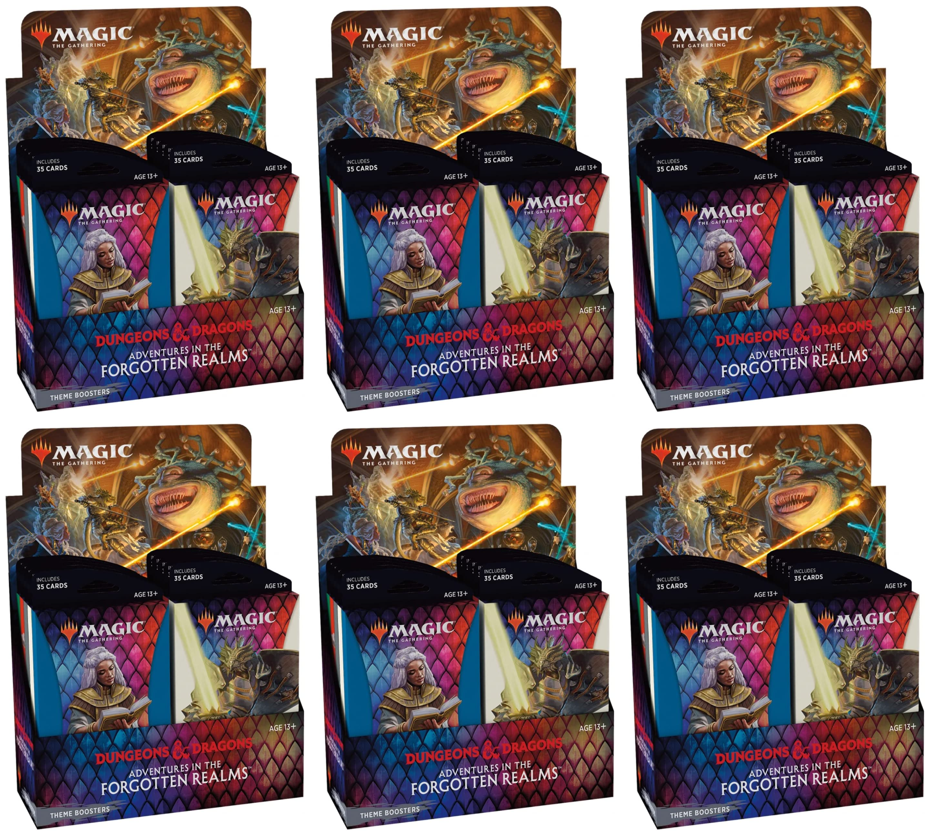 Dungeons & Dragons: Adventures in the Forgotten Realms - Theme Booster Display Case | Local Legends