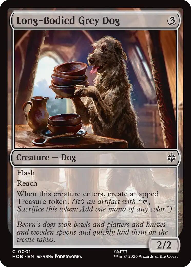 Long-Bodied Grey Dog | Local Legends