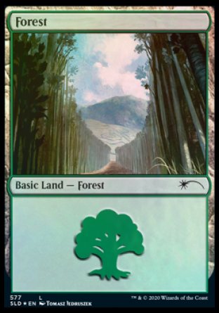 Forest (Walls) (577) [Secret Lair Drop Promos] | Local Legends