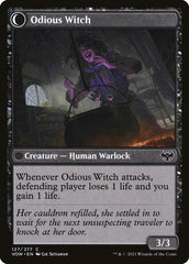 Ragged Recluse (Back) | Local Legends