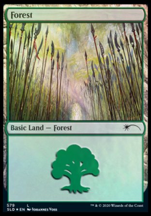 Forest (Elves) (579) [Secret Lair Drop Promos] | Local Legends