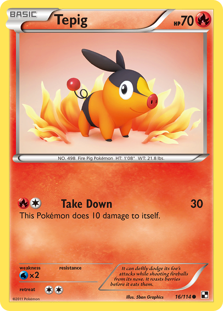Tepig (16/114) [Black & White: Base Set] | Local Legends