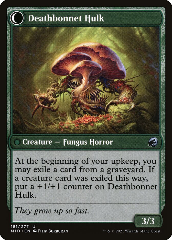 Deathbonnet Sprout | Local Legends