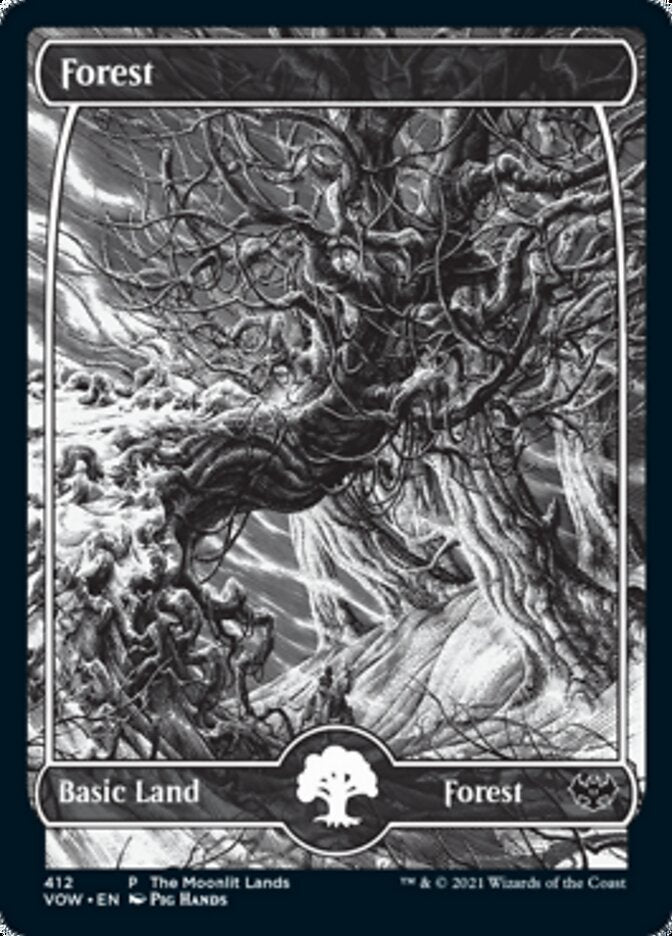 Forest (The Moonlit Lands) (Foil Etched) [Innistrad: Crimson Vow Promos] | Local Legends