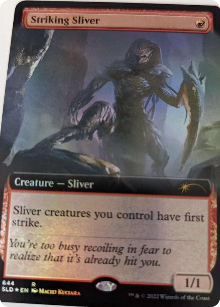 Striking Sliver (Extended Art) [Secret Lair Drop Series] | Local Legends