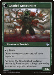 Dormant Grove (Back) | Local Legends