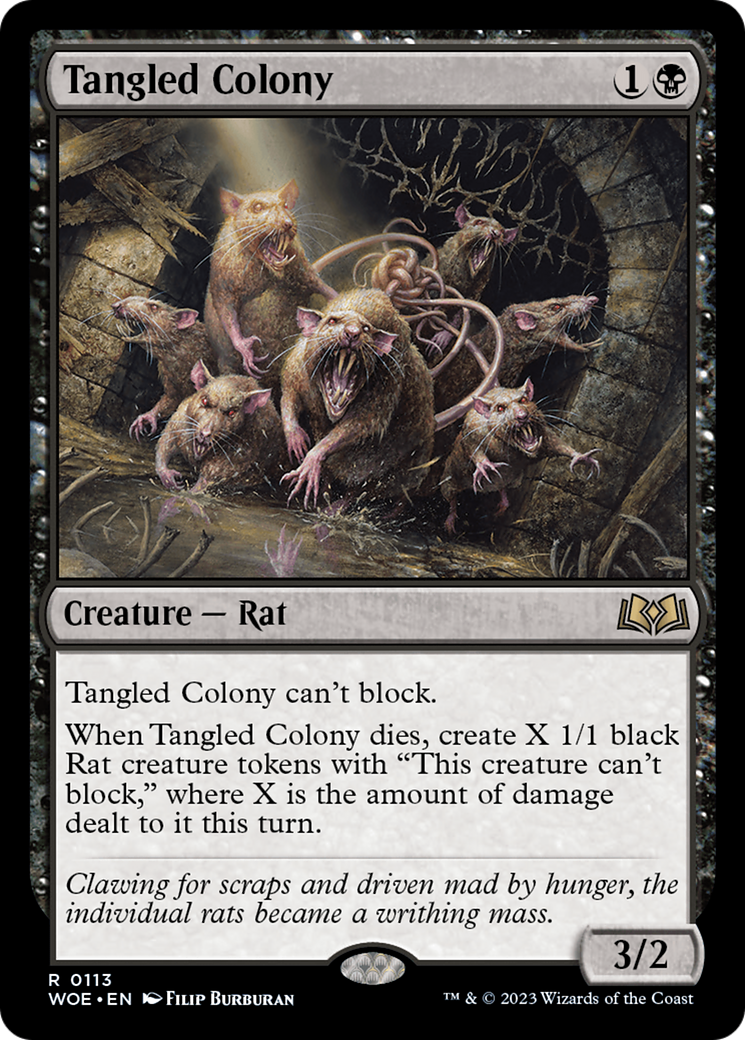 Tangled Colony [Wilds of Eldraine] | Golgari Games