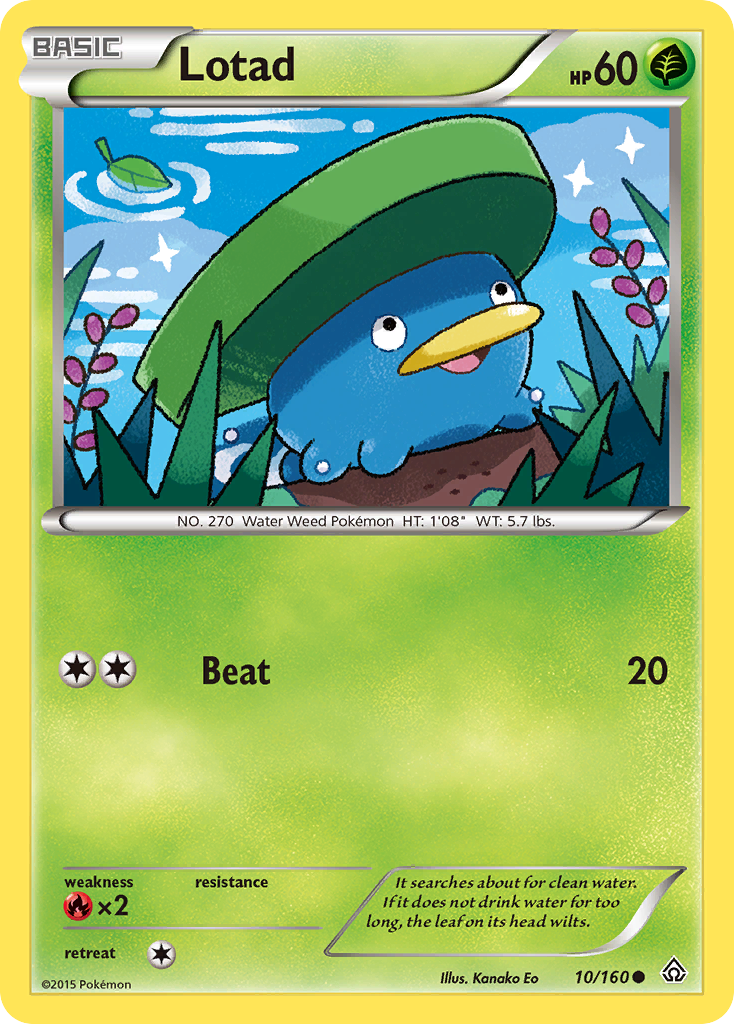 Lotad (10/160) [XY: Primal Clash] | Golgari Games