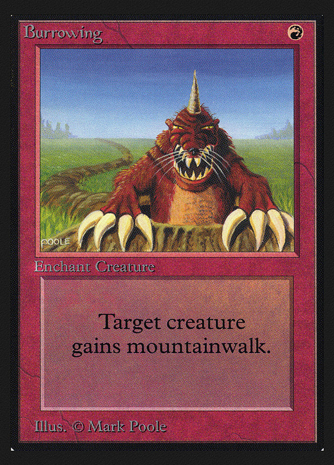 Burrowing [International Collectors' Edition] | Local Legends