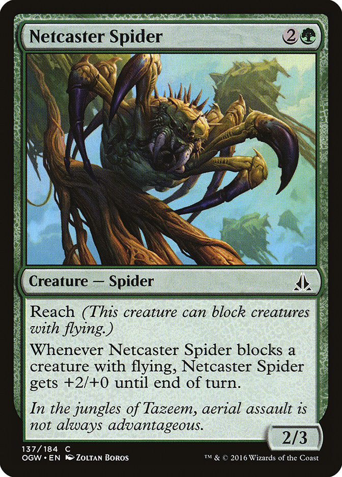 Netcaster Spider [Oath of the Gatewatch] | Golgari Games