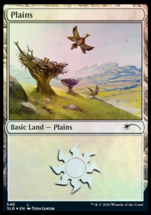 Plains (Feathered Friends) (546) [Secret Lair Drop Promos] | Golgari Games