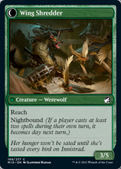 Bird Admirer // Wing Shredder [Innistrad: Midnight Hunt] | Golgari Games