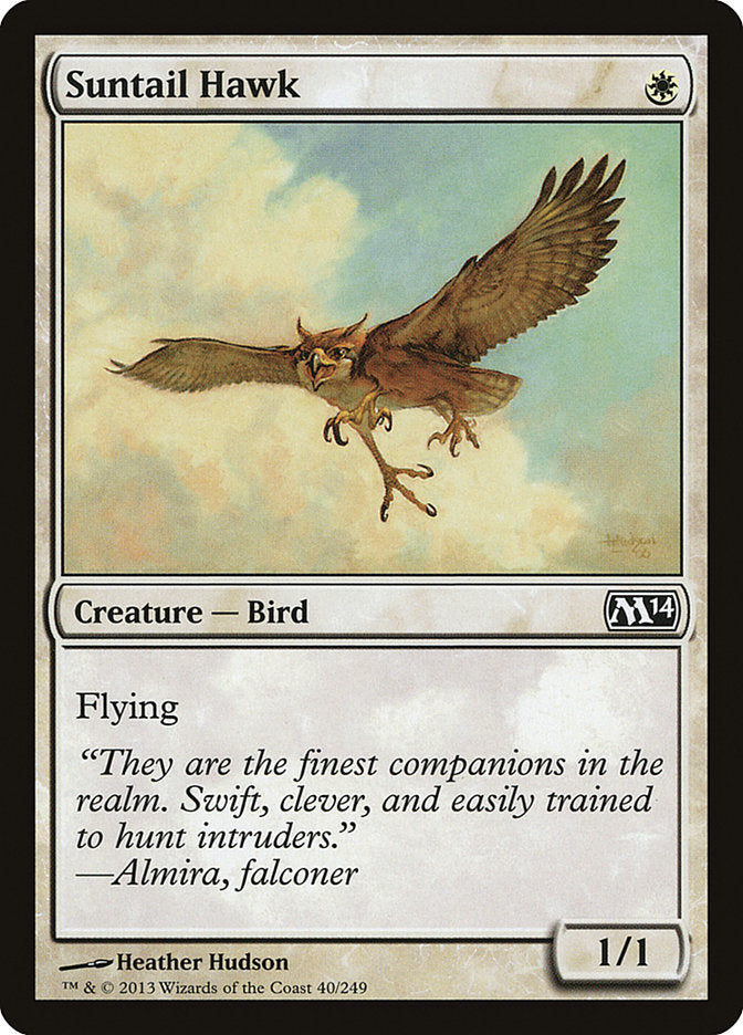 Suntail Hawk [Magic 2014] | Local Legends