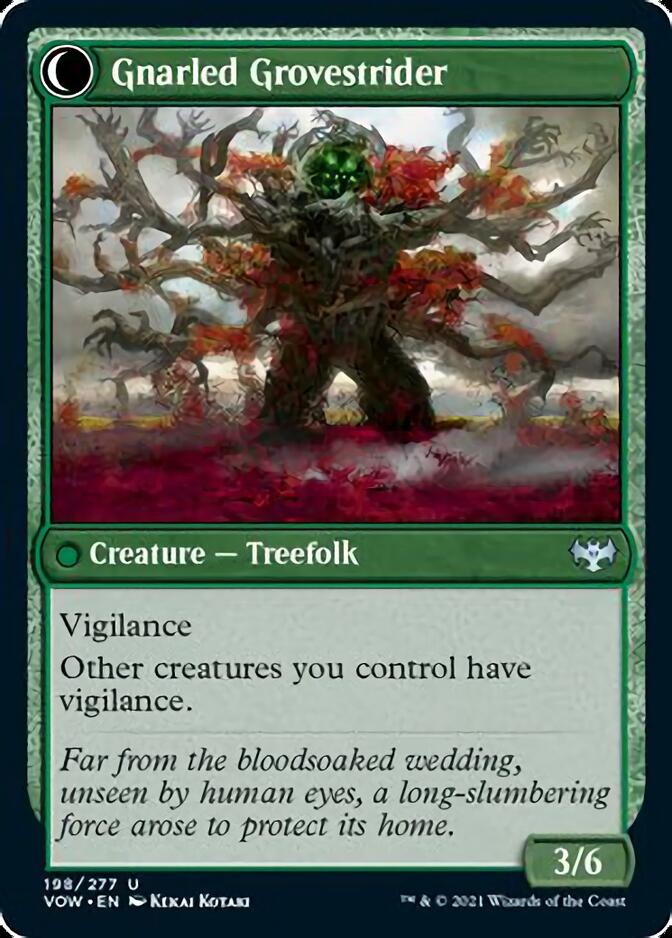 Dormant Grove // Gnarled Grovestrider [Innistrad: Crimson Vow] | Golgari Games