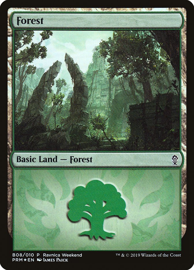 Forest (B08) [Ravnica Allegiance Guild Kit] | Local Legends