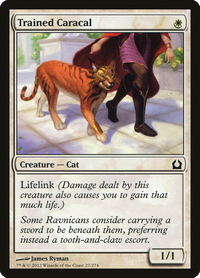 Trained Caracal [Return to Ravnica] | Golgari Games