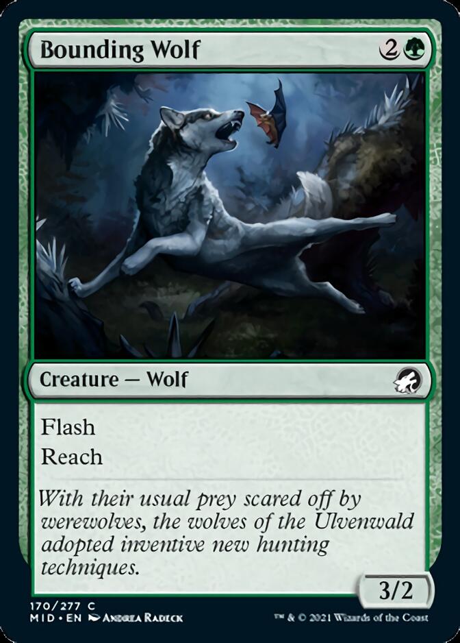 Bounding Wolf [Innistrad: Midnight Hunt] | Golgari Games