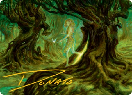 Neverwinter Dryad Art Card (Gold-Stamped Signature) [Dungeons & Dragons: Adventures in the Forgotten Realms Art Series] | Local Legends