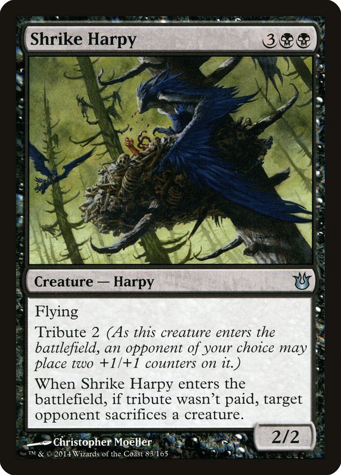 Shrike Harpy [Born of the Gods] | Golgari Games