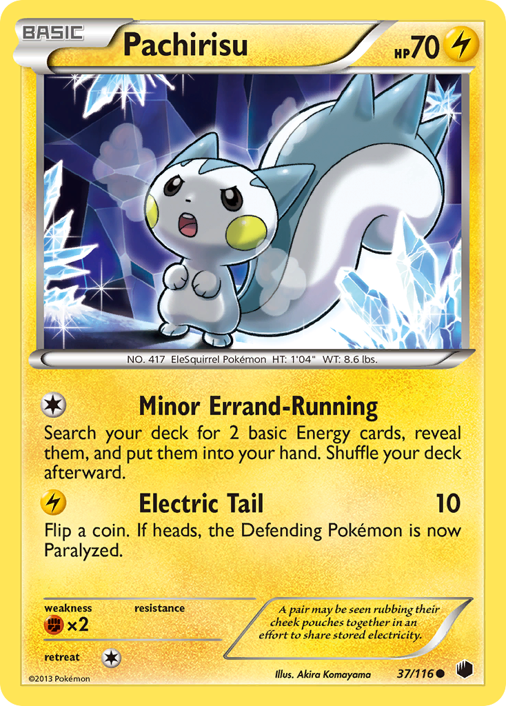 Pachirisu (37/116) [Black & White: Plasma Freeze] | Golgari Games