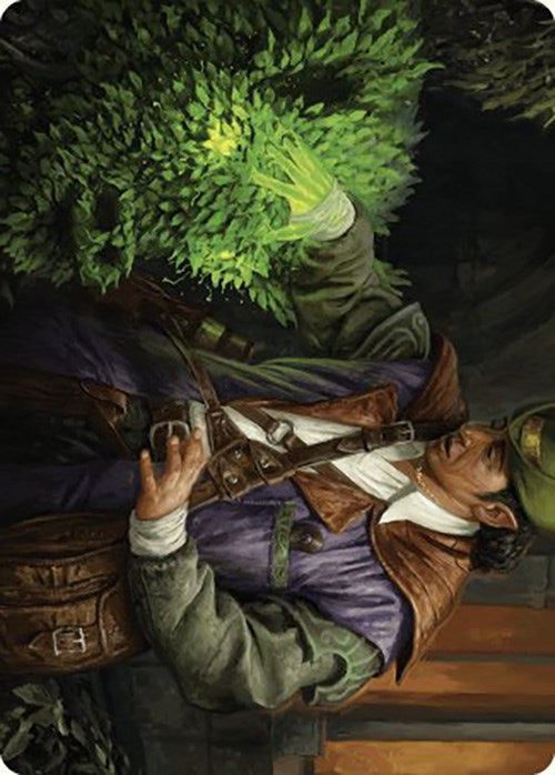 Hedge Whisperer Art Card [Murders at Karlov Manor Art Series] | Golgari Games