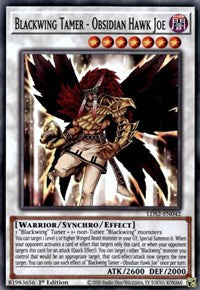 Blackwing Tamer - Obsidian Hawk Joe [LDS2-EN042] Common | Golgari Games