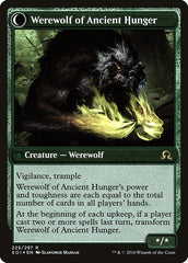 Sage of Ancient Lore // Werewolf of Ancient Hunger [Shadows over Innistrad Prerelease Promos] | Golgari Games