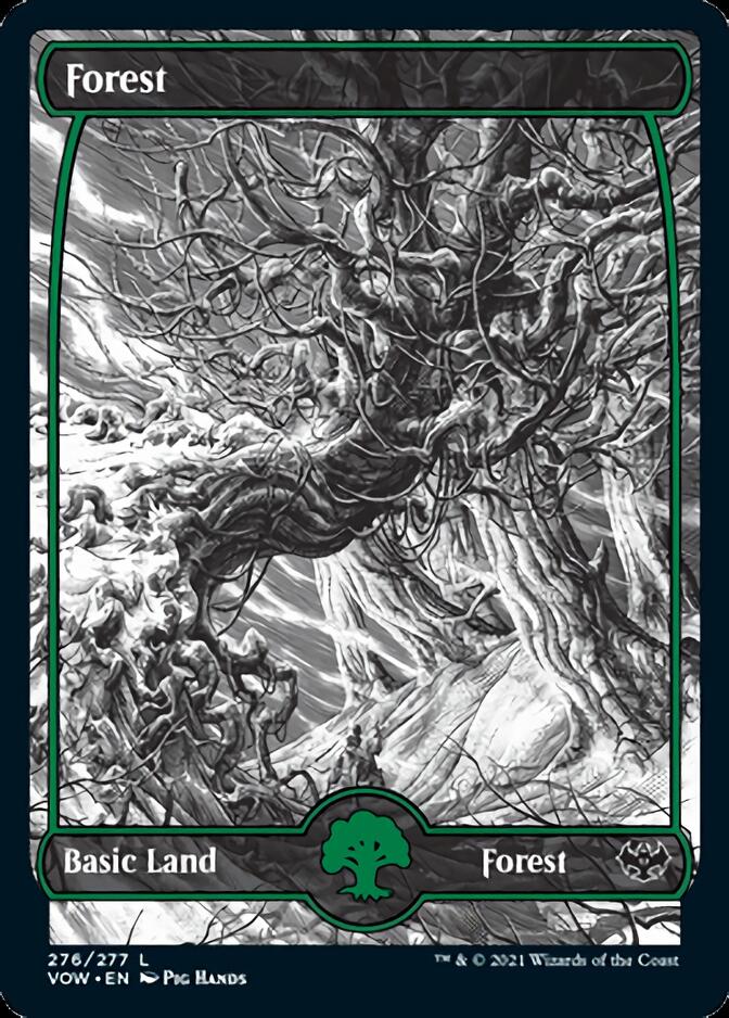 Forest (276) [Innistrad: Crimson Vow] | Local Legends