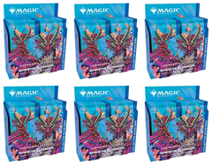 Commander Legends: Battle for Baldur's Gate - Collector Booster Case | Local Legends