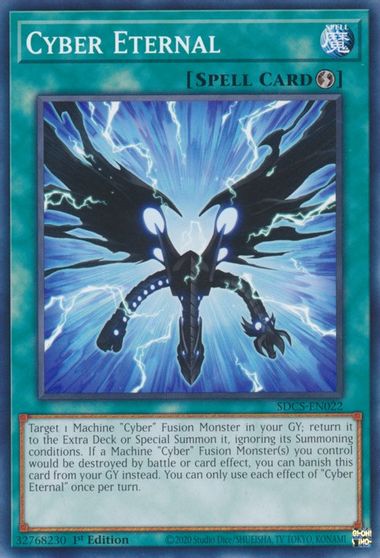 Cyber Eternal [SDCS-EN022] Common | Local Legends