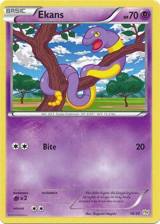 Ekans (16/30) [XY: Trainer Kit - Noivern] | Golgari Games