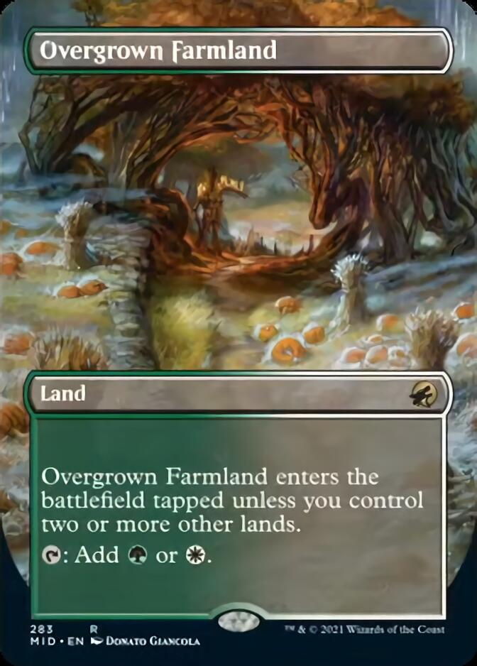 Overgrown Farmland (Borderless Alternate Art) [Innistrad: Midnight Hunt] | Golgari Games