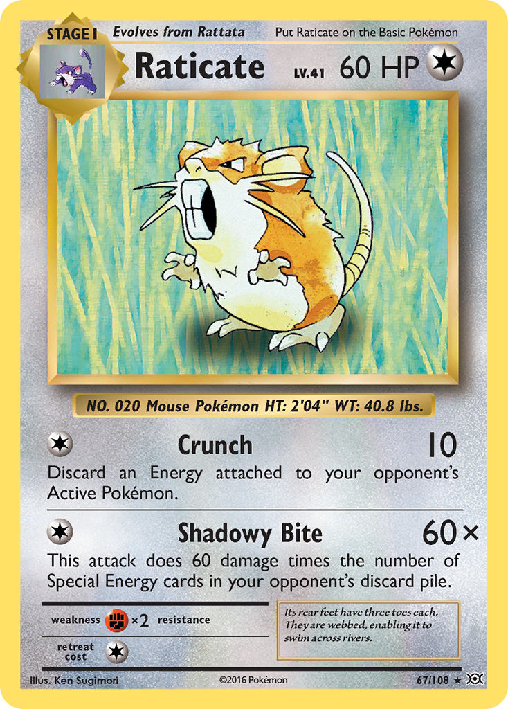 Raticate (67/108) [XY: Evolutions] | Golgari Games