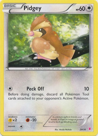 Pidgey (29/30) [XY: Trainer Kit 1 - Wigglytuff] | Golgari Games