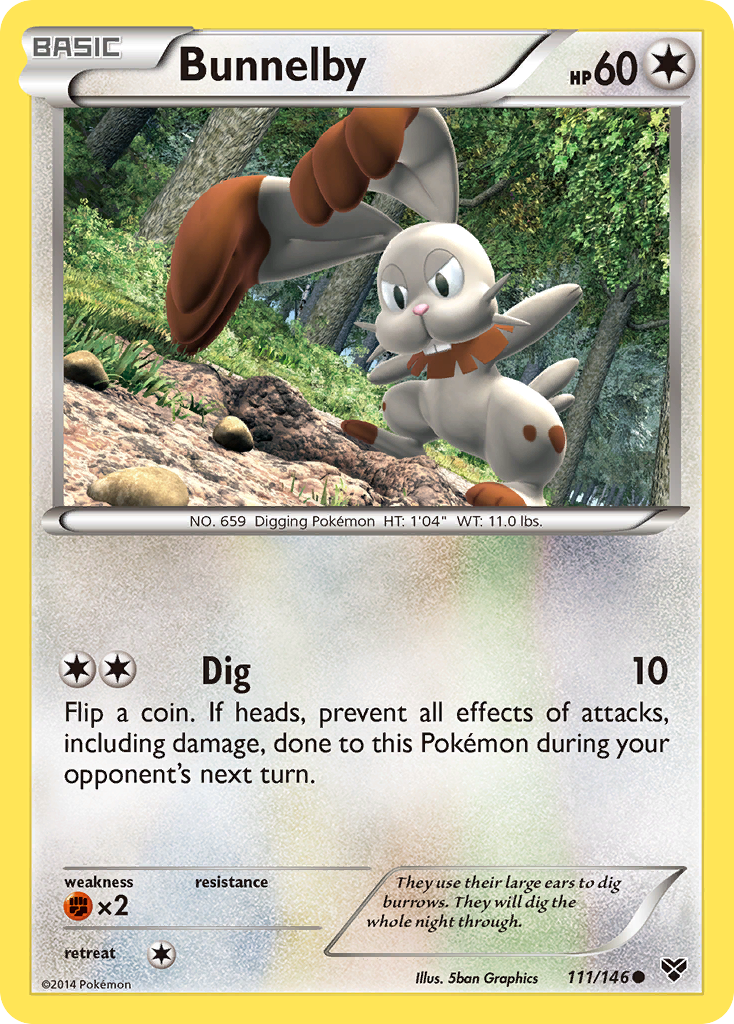 Bunnelby (111/146) [XY: Base Set] | Golgari Games