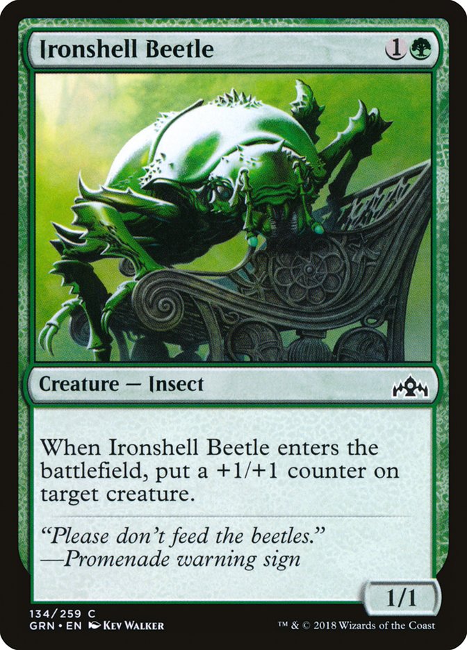 Ironshell Beetle [Guilds of Ravnica] | Golgari Games