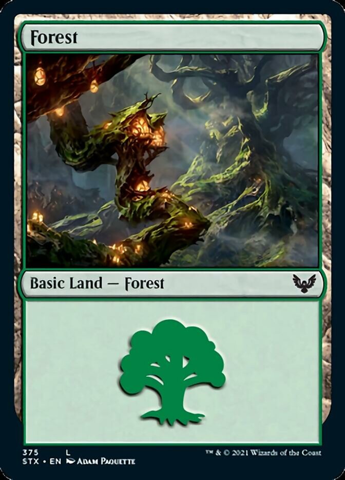 Forest (375) [Strixhaven: School of Mages] | Local Legends