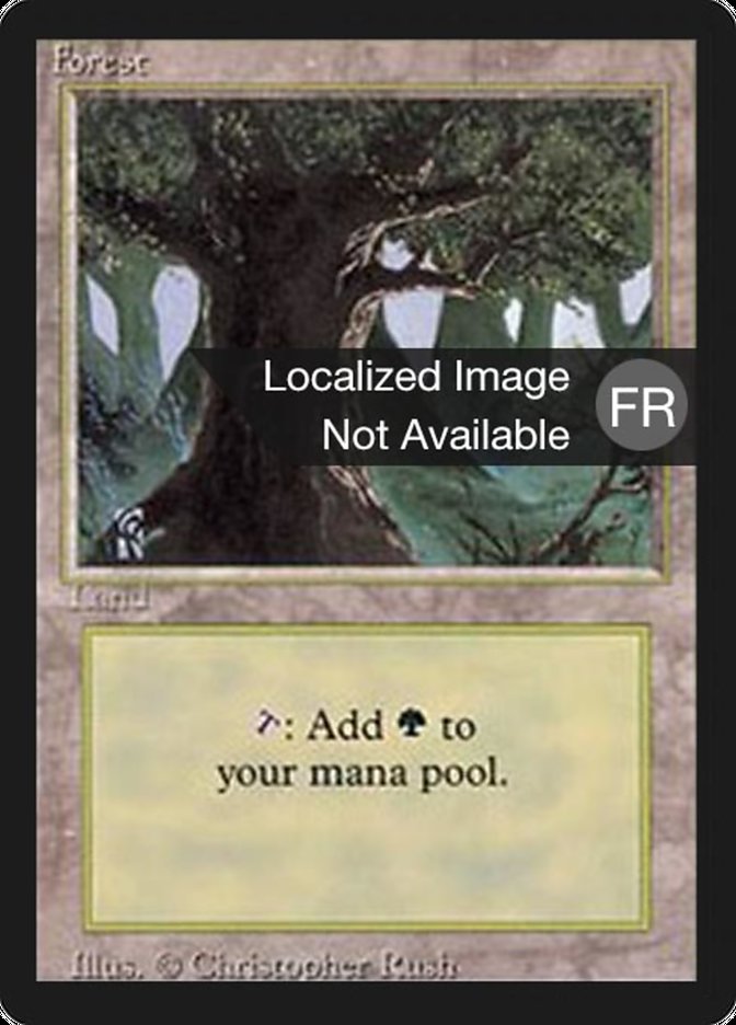 Forest (A) [Foreign Black Border] | Golgari Games