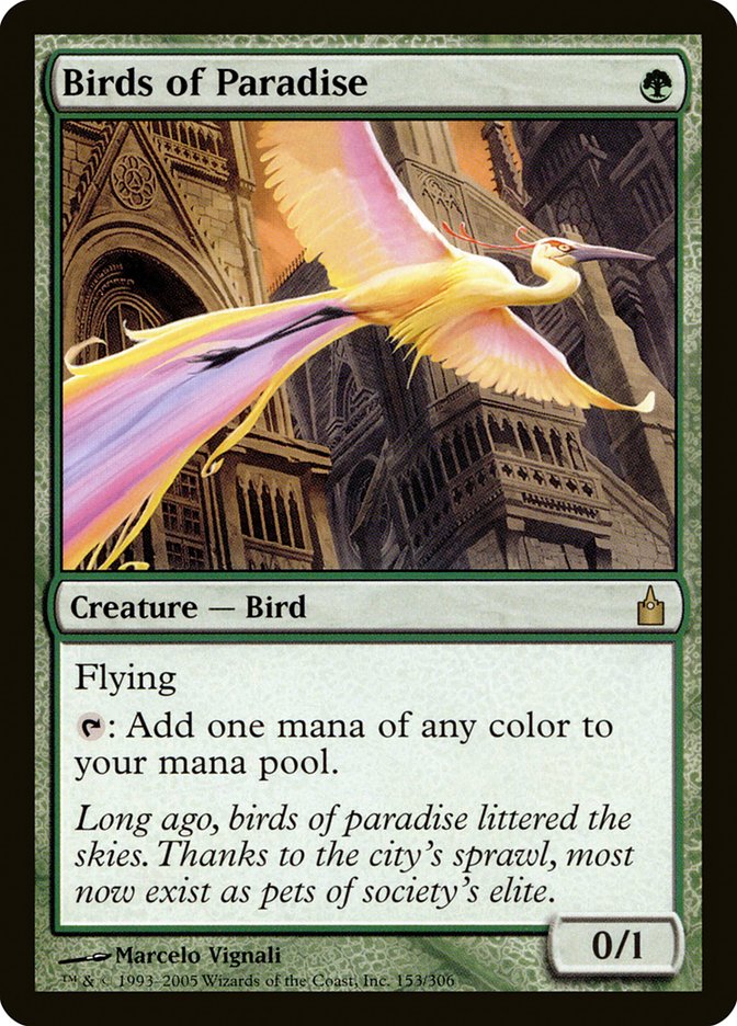 Birds of Paradise [Ravnica: City of Guilds] | Local Legends