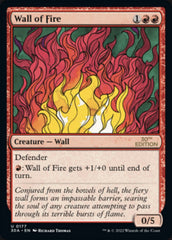 Wall of Fire [30th Anniversary Edition] | Local Legends