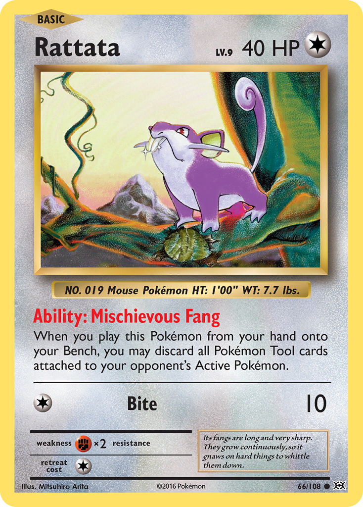 Rattata (66/108) [XY: Evolutions] | Golgari Games