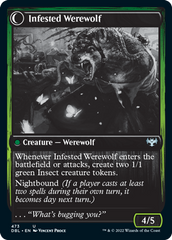 Infestation Expert // Infested Werewolf [Innistrad: Double Feature] | Golgari Games