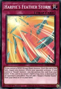 Harpie's Feather Storm [LDS2-EN088] Common | Local Legends