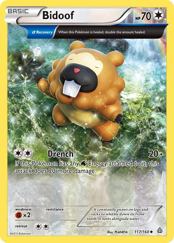 Bidoof (117/160) [XY: Primal Clash] | Golgari Games