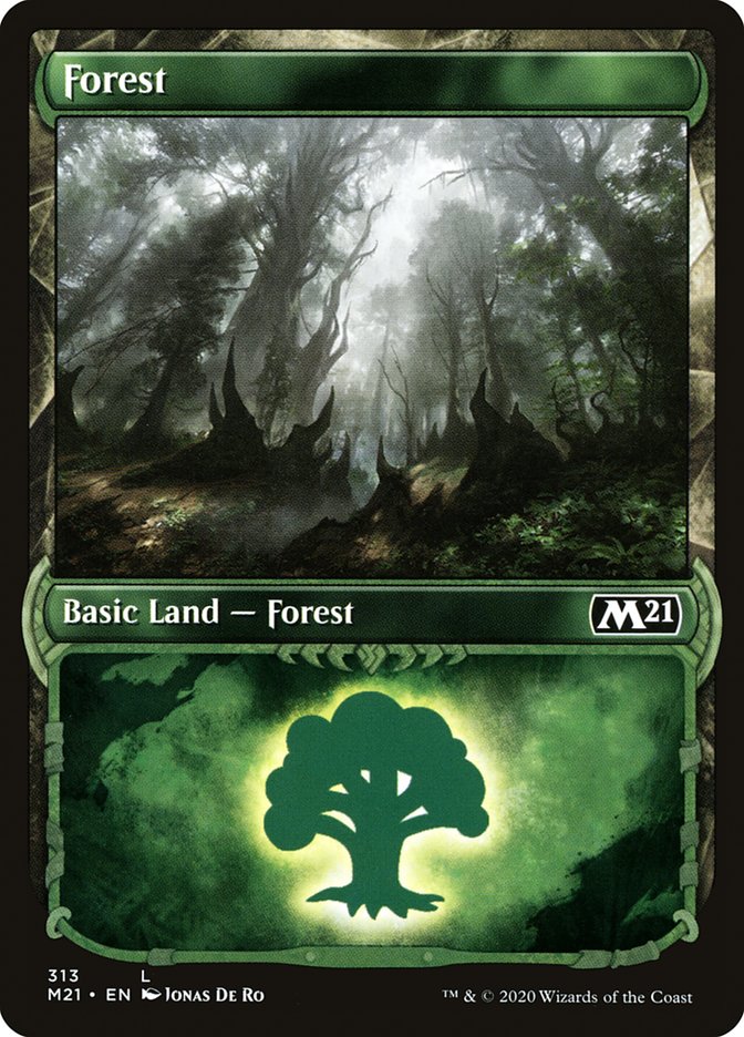 Forest (313) (Showcase) [Core Set 2021] | Local Legends