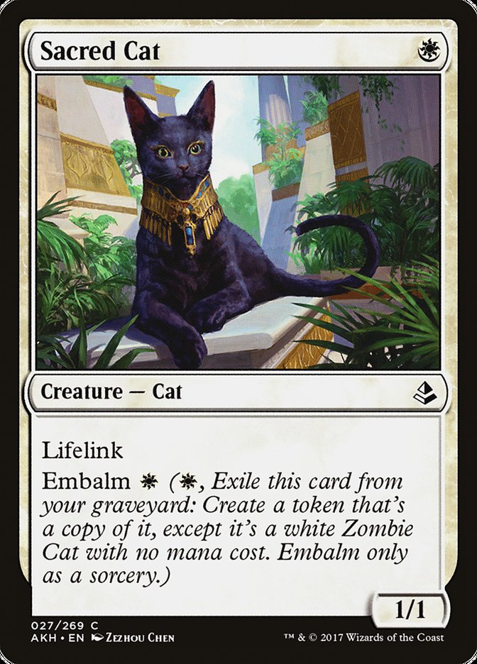 Sacred Cat [Amonkhet] | Golgari Games