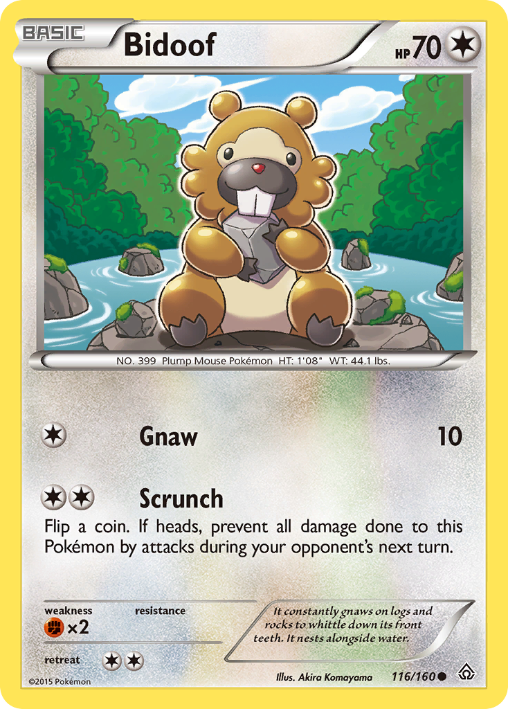 Bidoof (116/160) [XY: Primal Clash] | Golgari Games